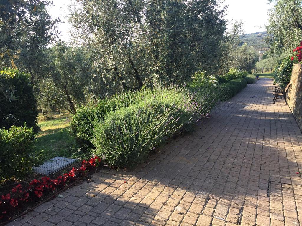 Podere Jana Antico Frantoio Винчи Екстериор снимка